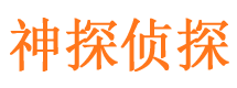 六合侦探公司